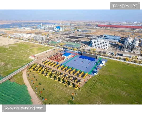 云顶集团公司在海外市场的投资布局与跨国经营风险管理策略