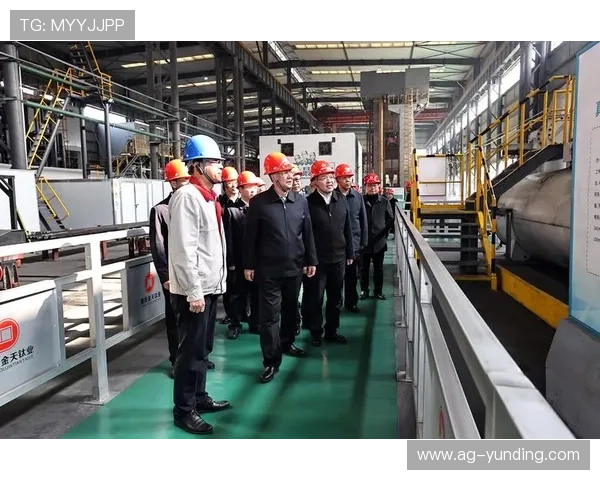 云顶集团简介概况:云顶集团在行业中的地位与未来发展战略展望